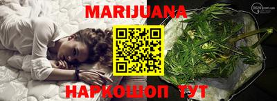 спайс Кингисепп