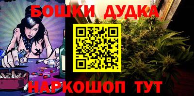 спайс Кингисепп