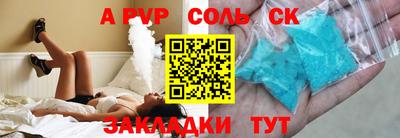 спайс Кингисепп