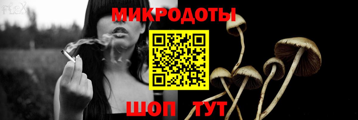 Псилоцибиновые грибы мухоморы  Вход с VPN  Кольчугино 
