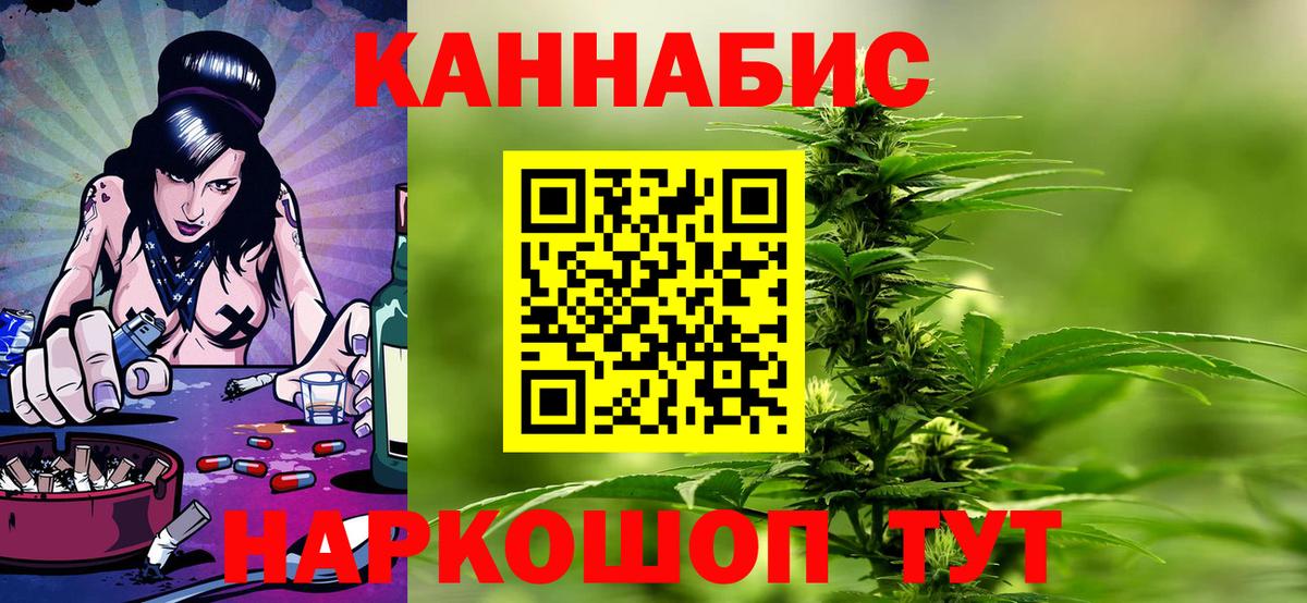 Каннабис сатива Кольчугино